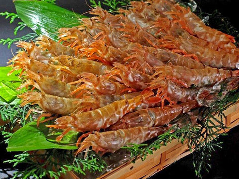 実は栄養豊富？モサエビに含まれる注目成分と嬉しいポイント