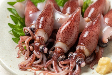 ホタルイカの旬はいつ？解禁日・身投げ・おすすめ料理をまとめて解説