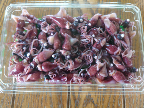 ホタルイカ始めました。
