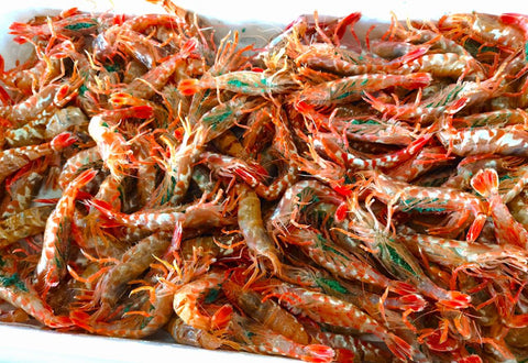 美味しいモサエビいかが？