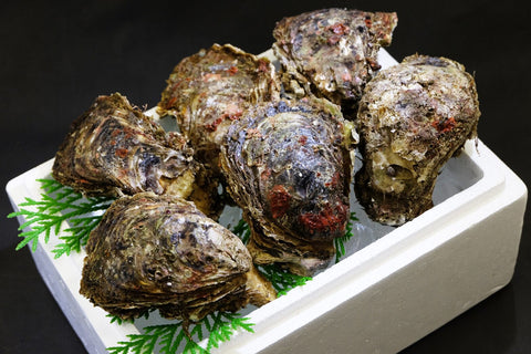 岩ガキの剥き方と美味しい食べ方｜ご自宅で“夏のごちそう”を楽しむコツをプロが解説