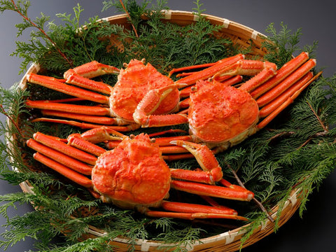 コスパ最強のカニ！？紅ズワイガニのご紹介