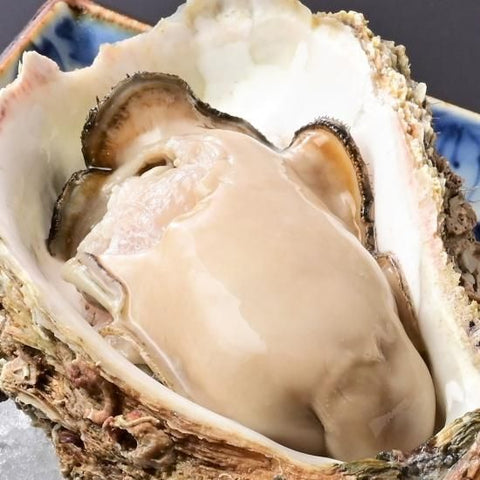 岩ガキ「夏輝」