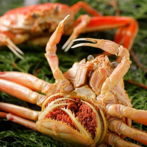 親がに《浜茹で》 特大 600g（3杯入）