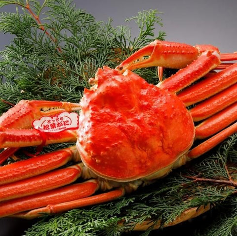 松葉がに《タグ付・浜茹で》約1kg