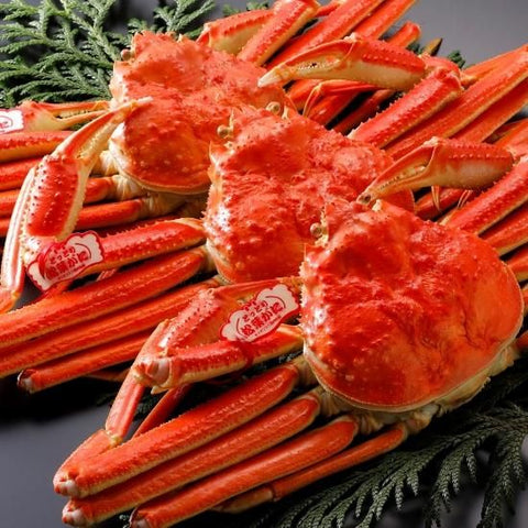 松葉がに《タグ付・浜茹で》約900g