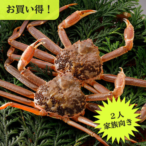 松葉がに《訳あり・活き》約500g