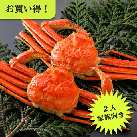 松葉がに《訳あり・浜茹で》約500g