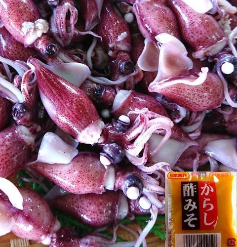 浜茹でホタルイカ