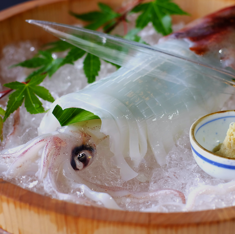 白イカ 2kg（10～13杯）
