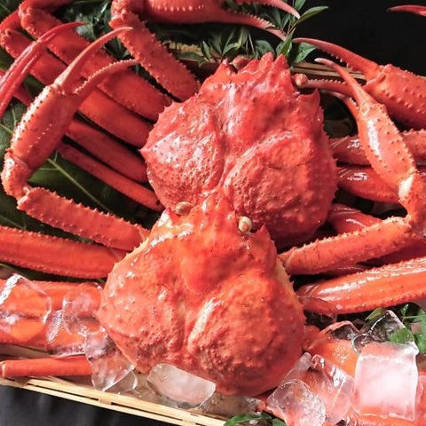 浜茹で紅ズワイガニ 3kg（6～7杯）