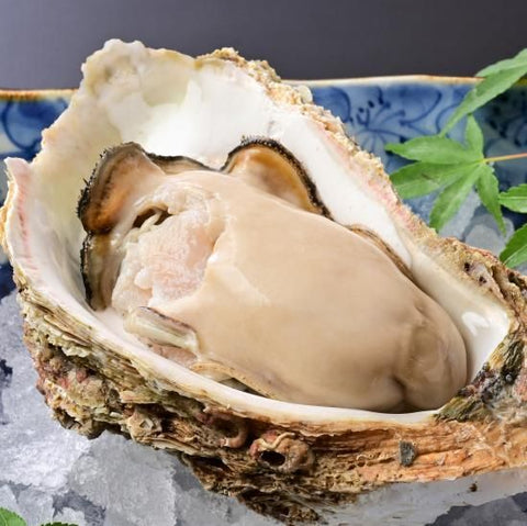 岩ガキ「夏輝」3kg（9～12個）