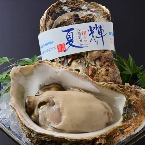 岩ガキ「夏輝」 特大 帯付き 2個（1個:600g以上・殻の重さも含む）