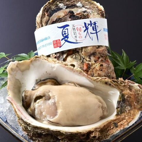 岩ガキ「夏輝」 特大 帯付き 3個（1個:600g以上・殻の重さも含む）
