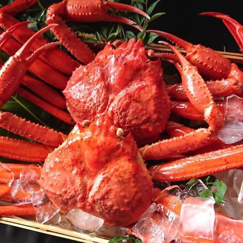 訳あり 浜茹で紅ズワイガニ 3kg（6～7杯）
