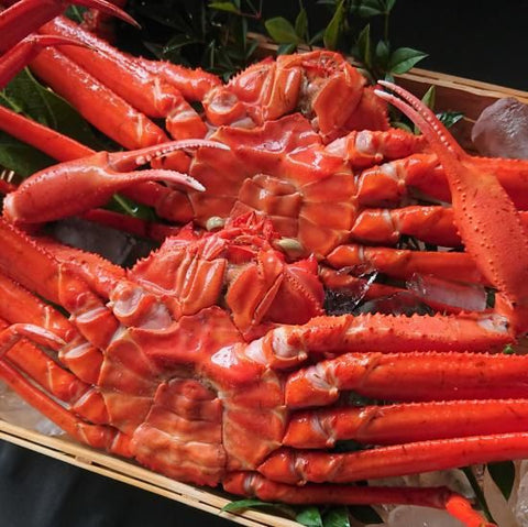 浜茹で紅ズワイガニ 4kg（8～10杯）